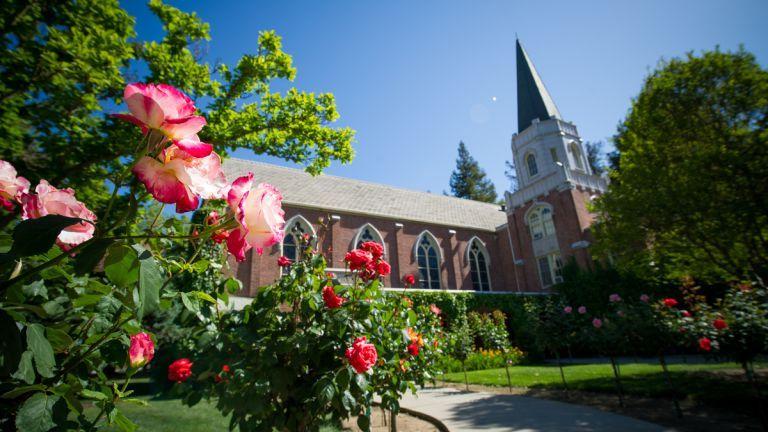 Morris Chapel rose garden