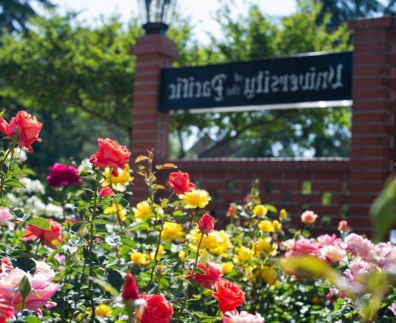 campus Rose garden